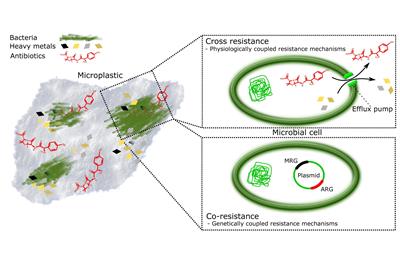 Techniques Used for Analyzing Microplastics, Antimicrobial Resistance and Microbial Community Composition: A Mini-Review